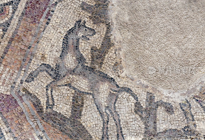 Lod马赛克碎片上的动物，以色列Lod镇著名的罗马马赛克地板，在Shelby White和Leon Levy Lod马赛克中心展出。马赛克描绘了陆地动物、鱼类和两艘罗马船只。
